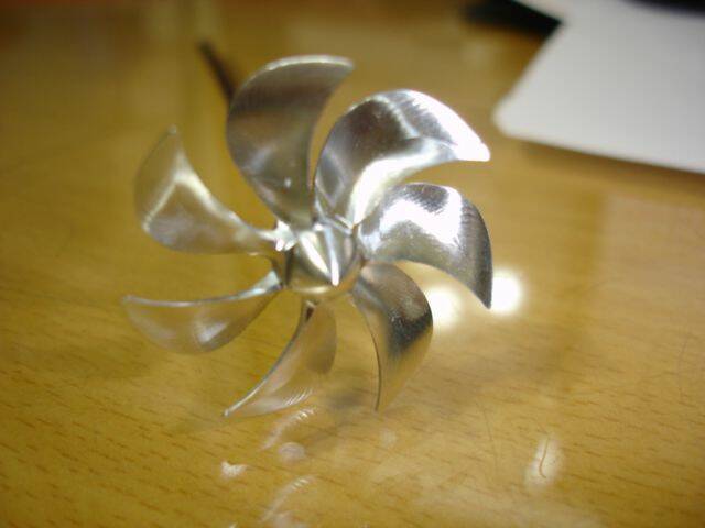 DSC04770.JPG