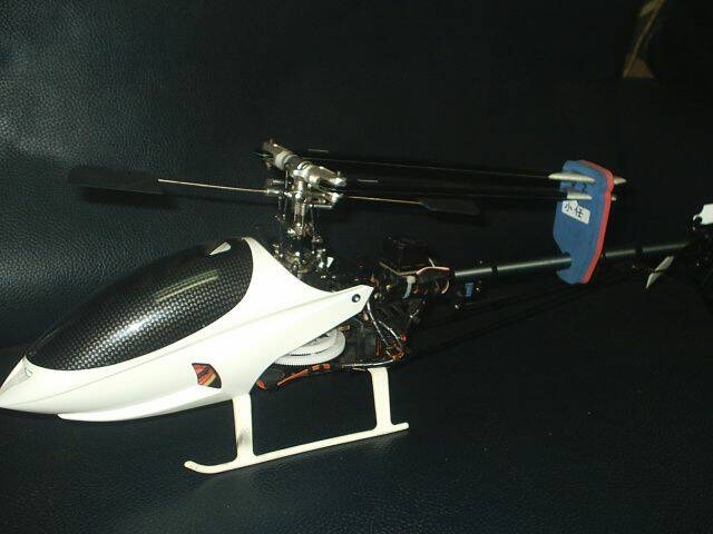 S2010097.JPG