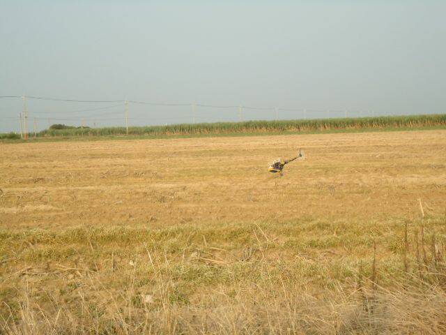 DSC01006.JPG