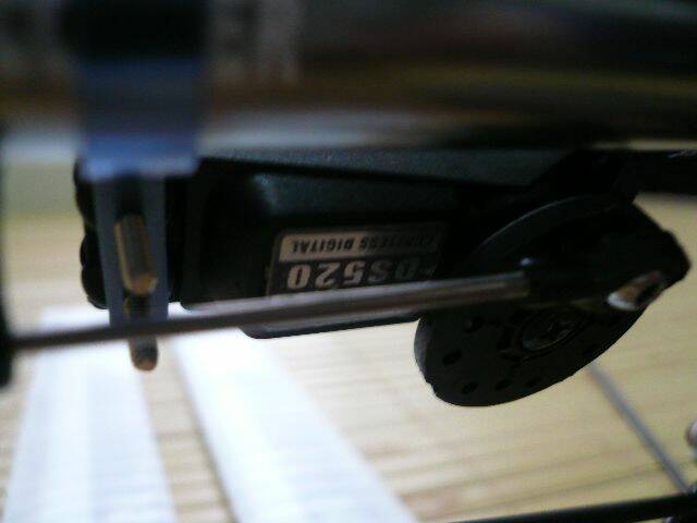 P1010619.JPG