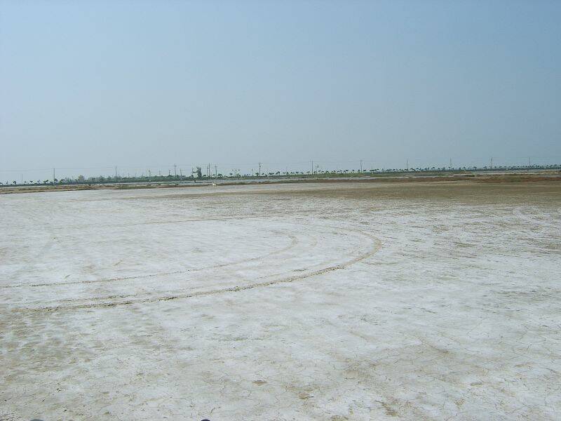 SA502830.JPG