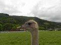 20110917_6405183660accf44af4dXraUHnu6Ybbb.jpg