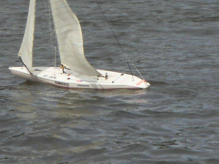 SDC18194.jpg
