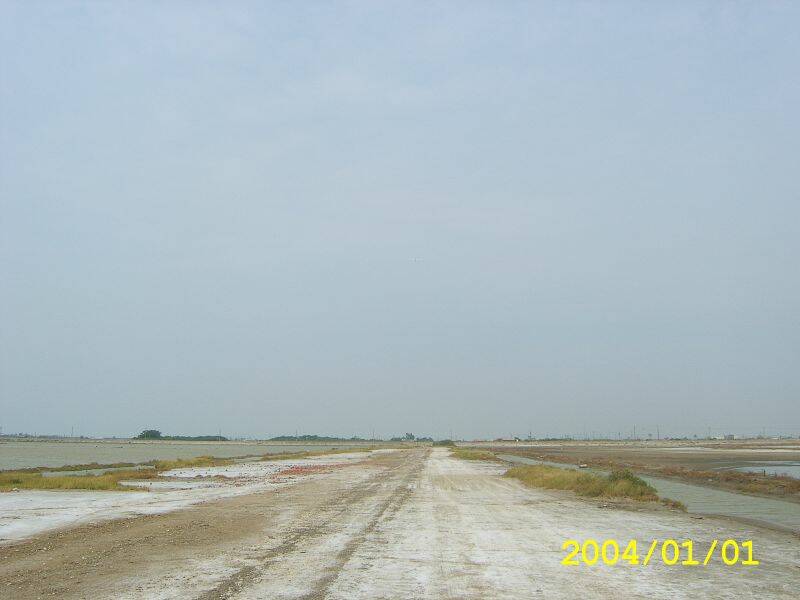 SA502831.JPG
