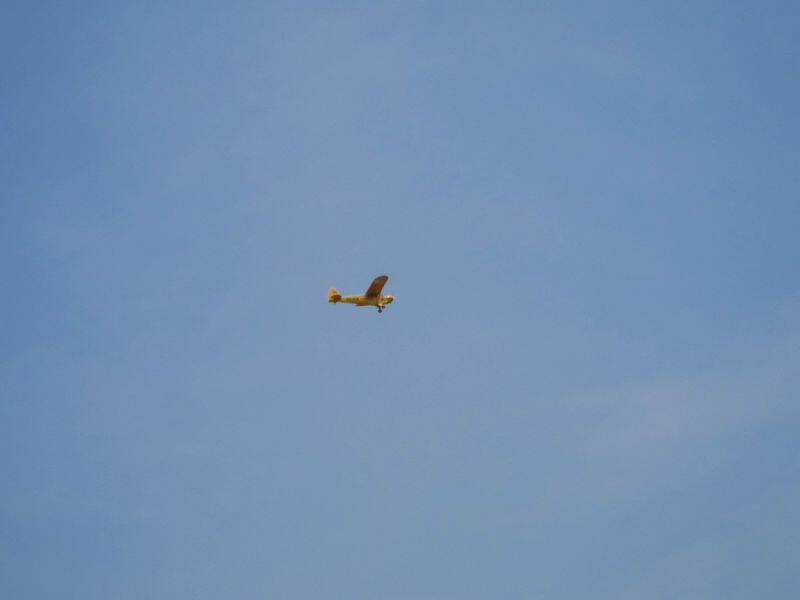 IMG_5184.jpg