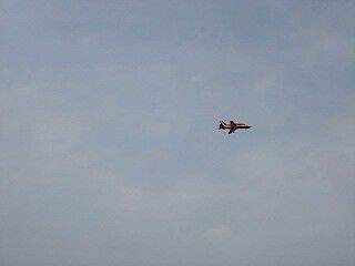 MOV00135_0001.jpg