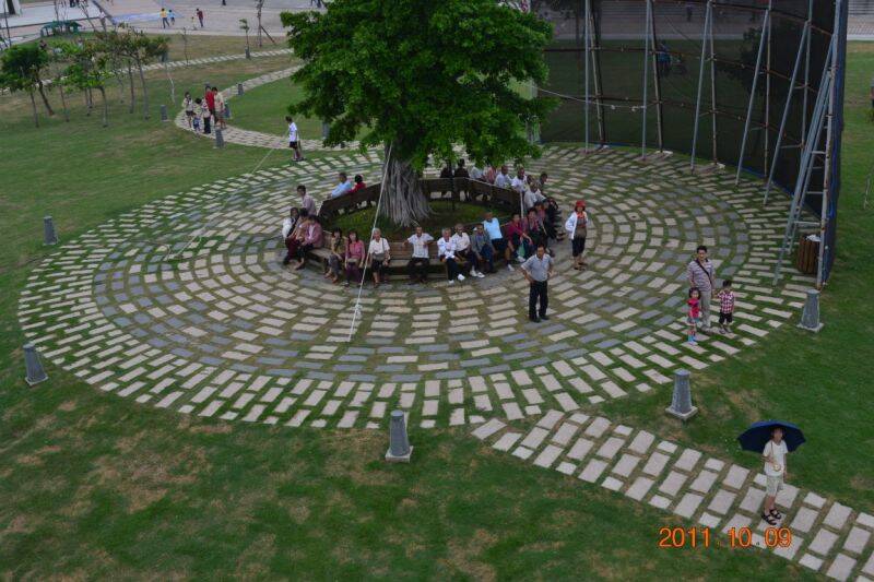 DSC_0279 (1152 x 768).jpg