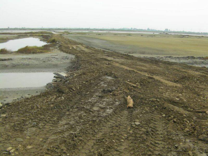 SANY0028.JPG