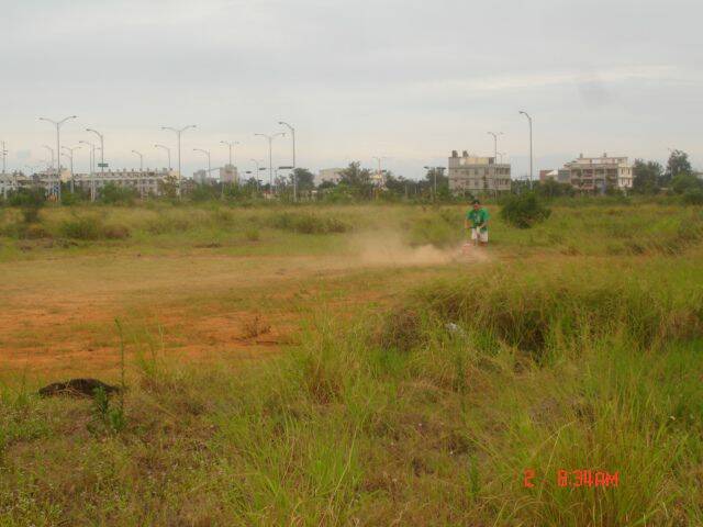 DSC08811.JPG