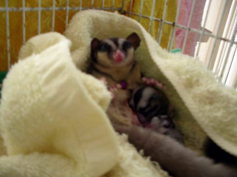 20110713_129e99174d42da27b64fVDVTZaj2XjNJ.jpg
