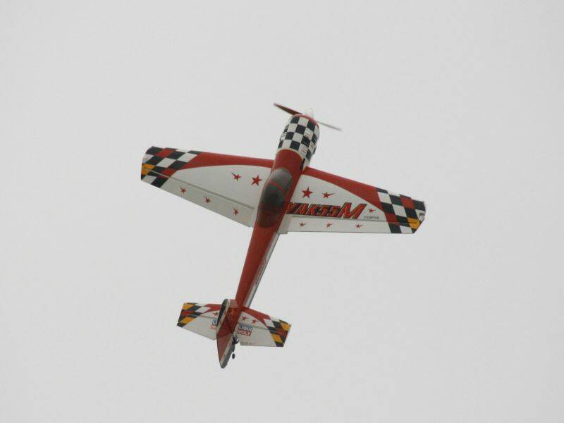 _MG_5664.JPG