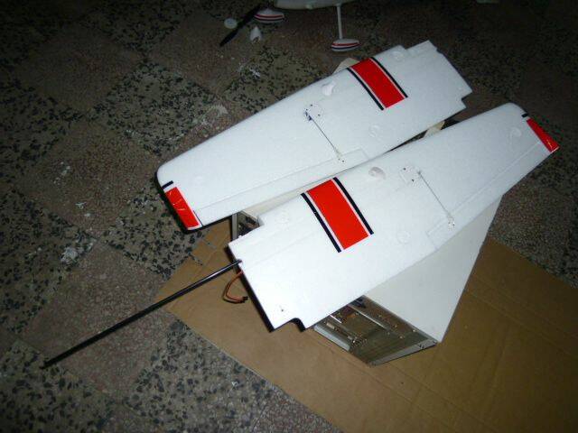 P1000541.JPG