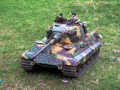 1-6 Tiger 2-596c.jpg