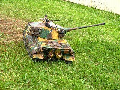 1-6 Tiger 2-594c.jpg