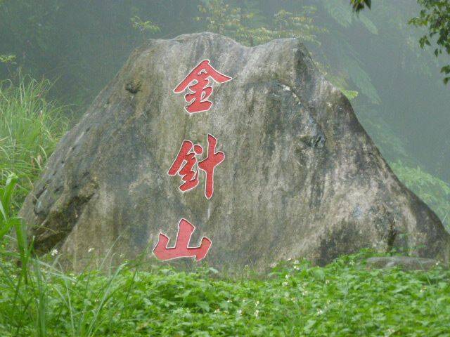 P1000888.JPG
