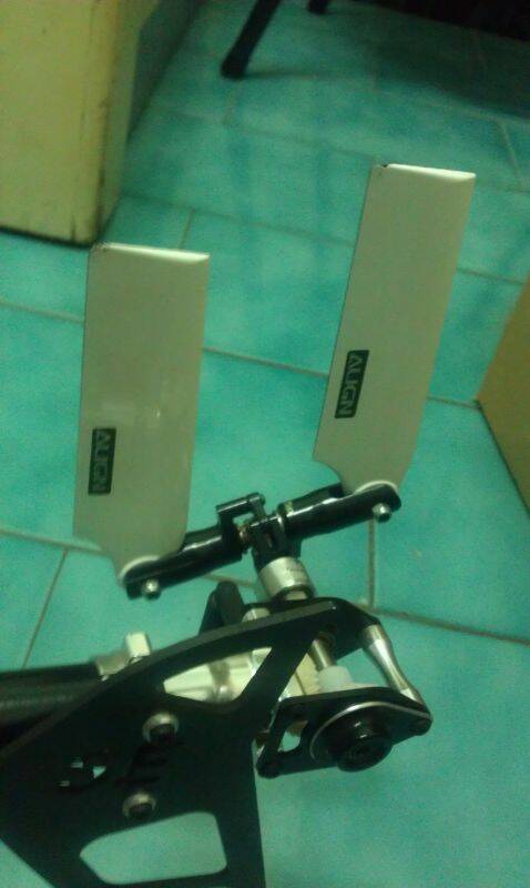 IMAG0317.jpg