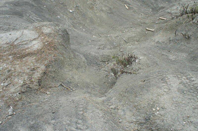 DSC00639-800.jpg