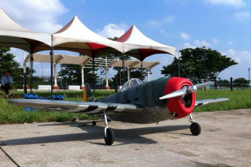 P-47 001.JPG