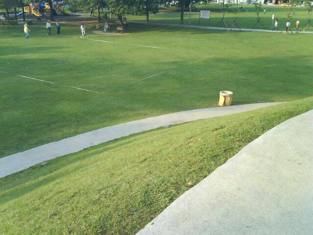 DSC00342.JPG