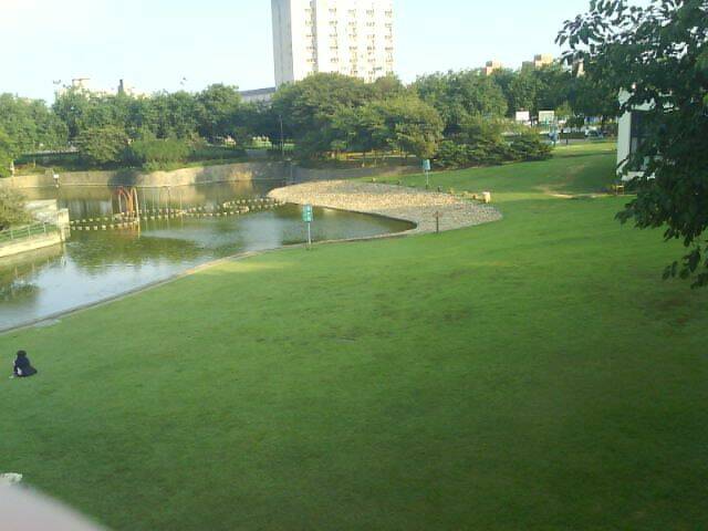 DSC00340.JPG