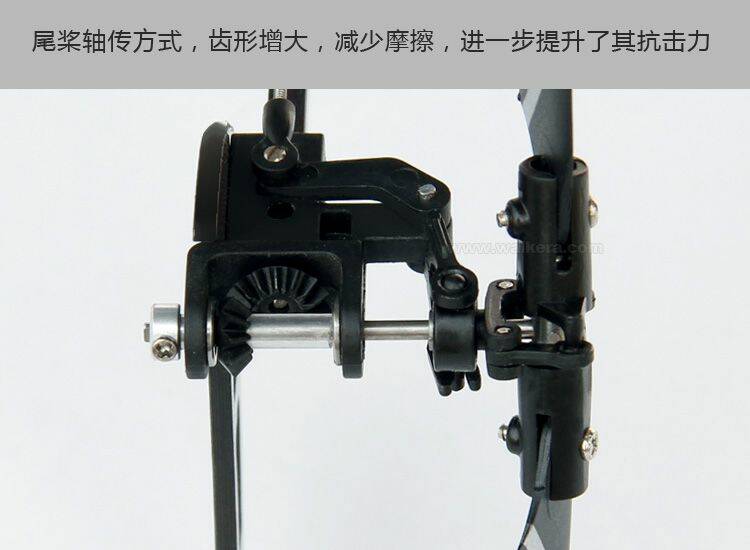 加大尺寸的尾傘齒