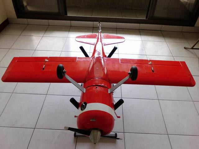 P6.jpg