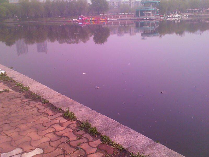 跑船場地
