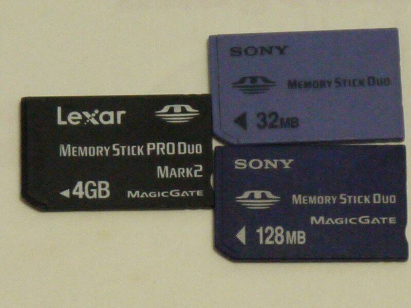 P1000565.JPG