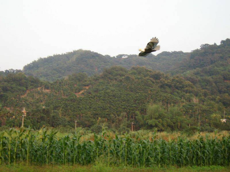 20111030_a9108731ce26d070aefcM9gsRnIZCGOh.jpg