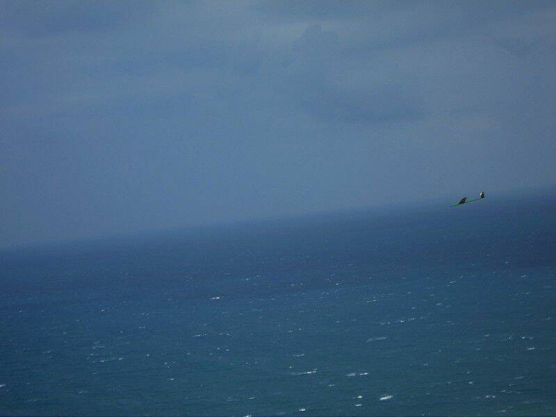 IMG_6081-800.jpg