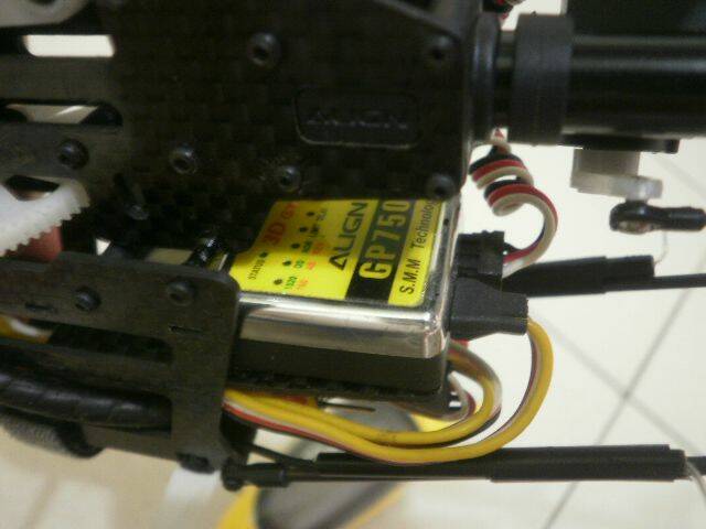 PB030169.JPG