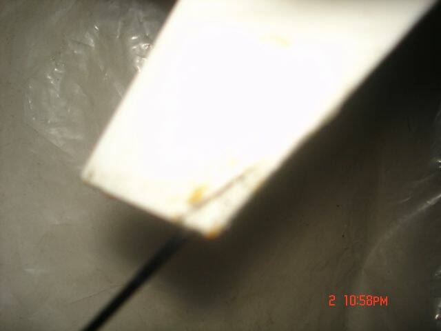 DSC01882.JPG