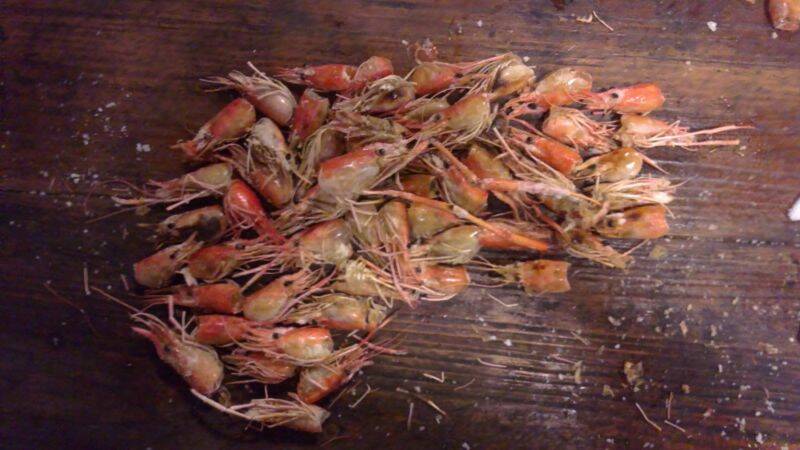 20111012373.JPG