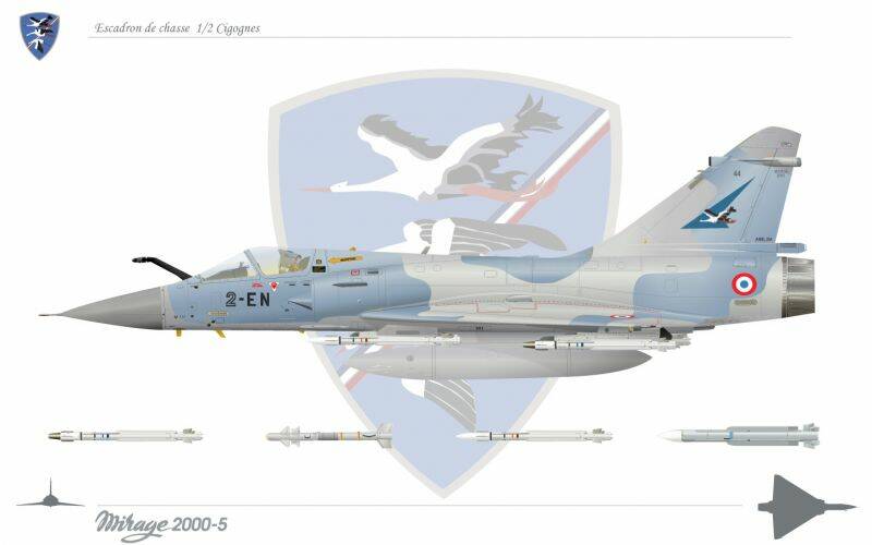 Mirage2000-5cigognes.jpg