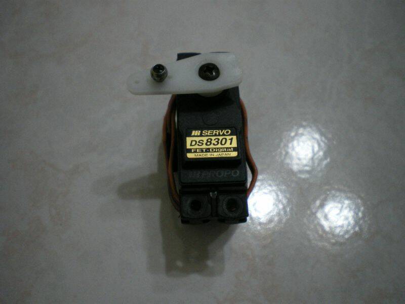 IMGP3273.JPG