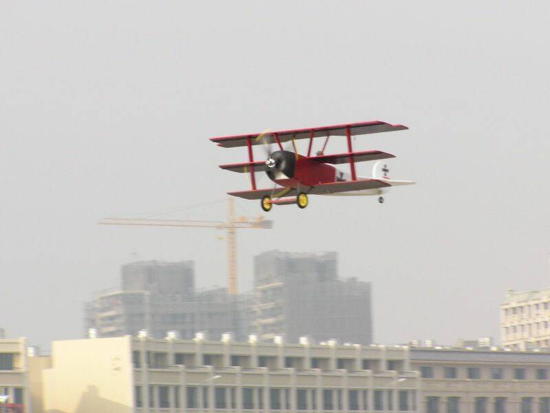 P3190009.JPG