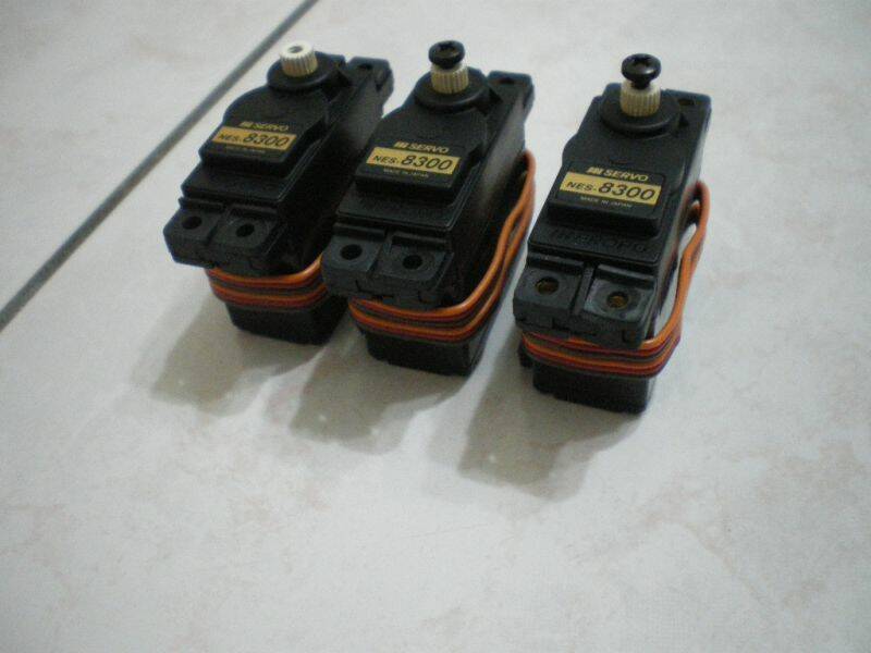 IMGP3275.JPG