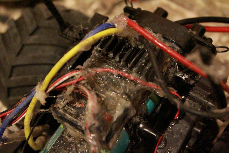 IMG_4668 (800x533).jpg