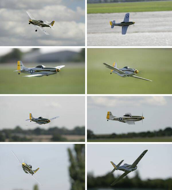 p5106.jpg