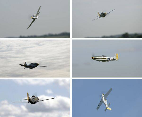 p5107.jpg