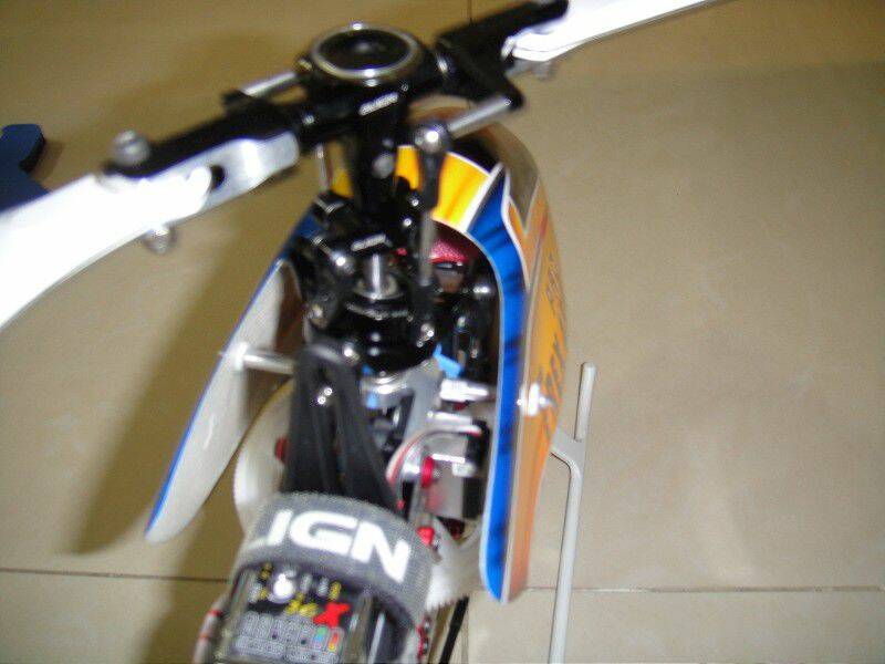 DSC00477-800.jpg
