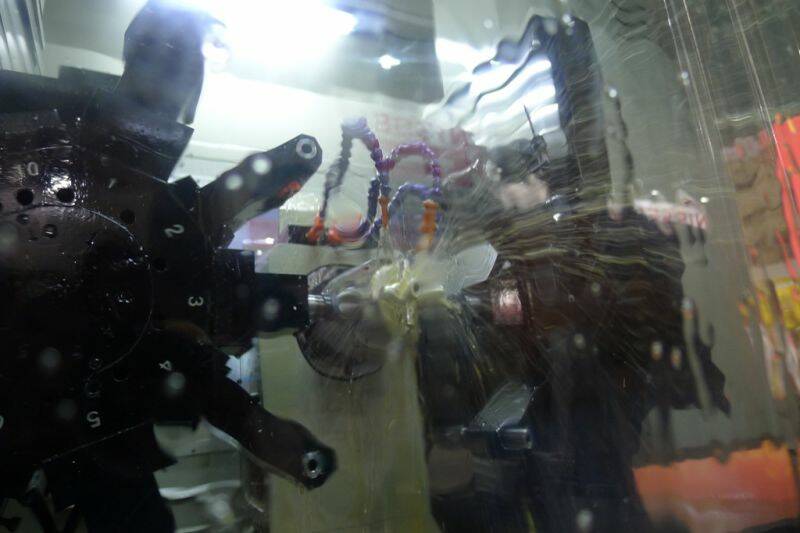 P1010510.JPG