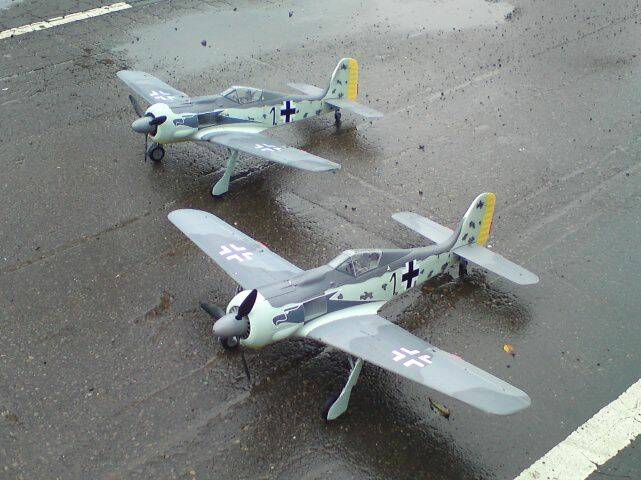 248.jpg