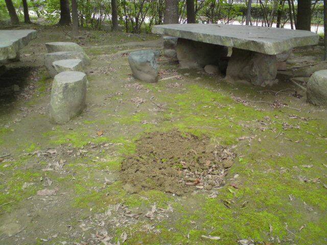 土質鬆軟適合挖土機
