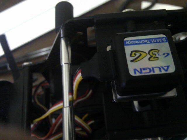 IMAG0286.jpg