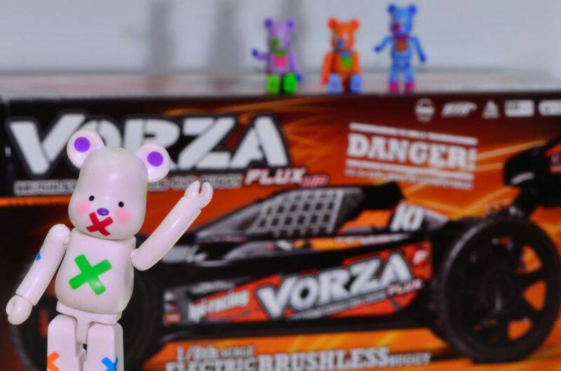 VORZA-0001.JPG