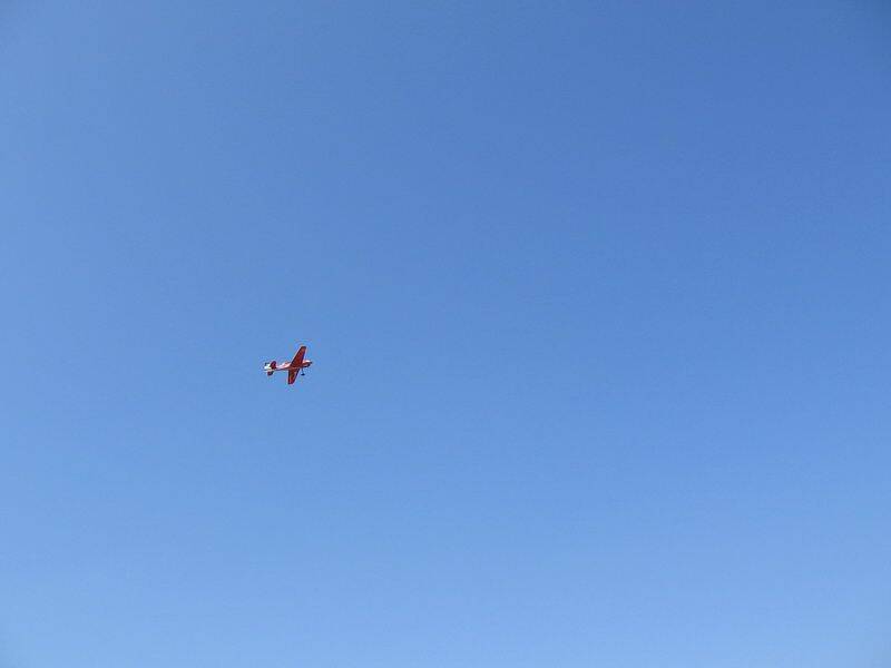 IMG_8019.JPG