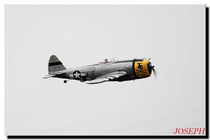 DSC_5010.JPG