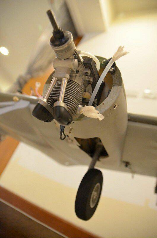 看看肚子 看看肚子