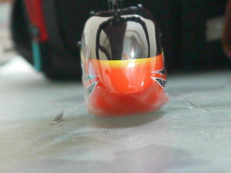 P1020620_.jpg